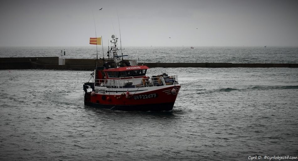 Retour au port de pour la criée de 17h, Le Guilvinec.Pointe du Raz, le phare de la Vieille, l‘ile de Sein